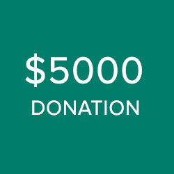 $5,000 Donation – Access Academies